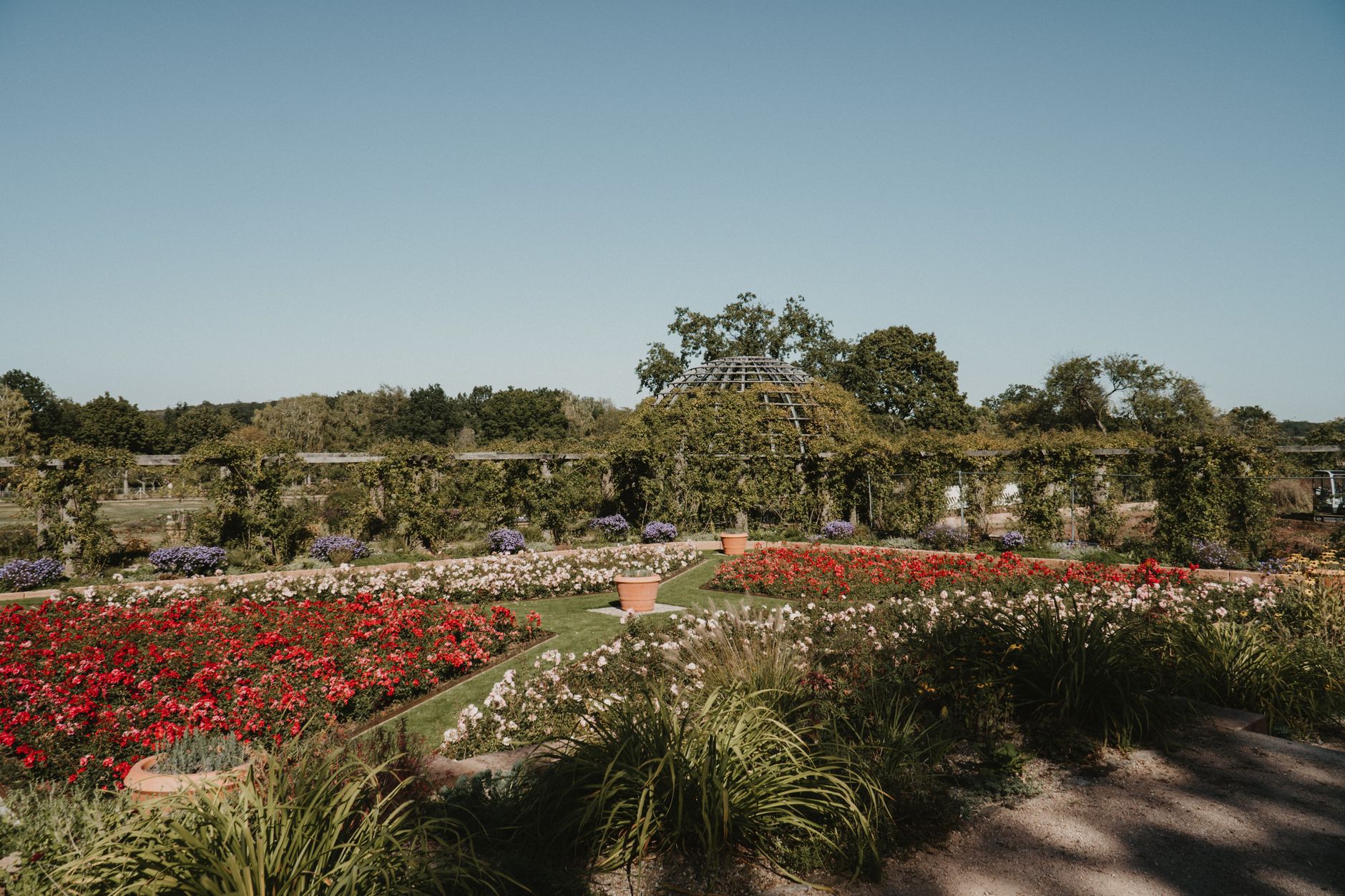 Full landscape design