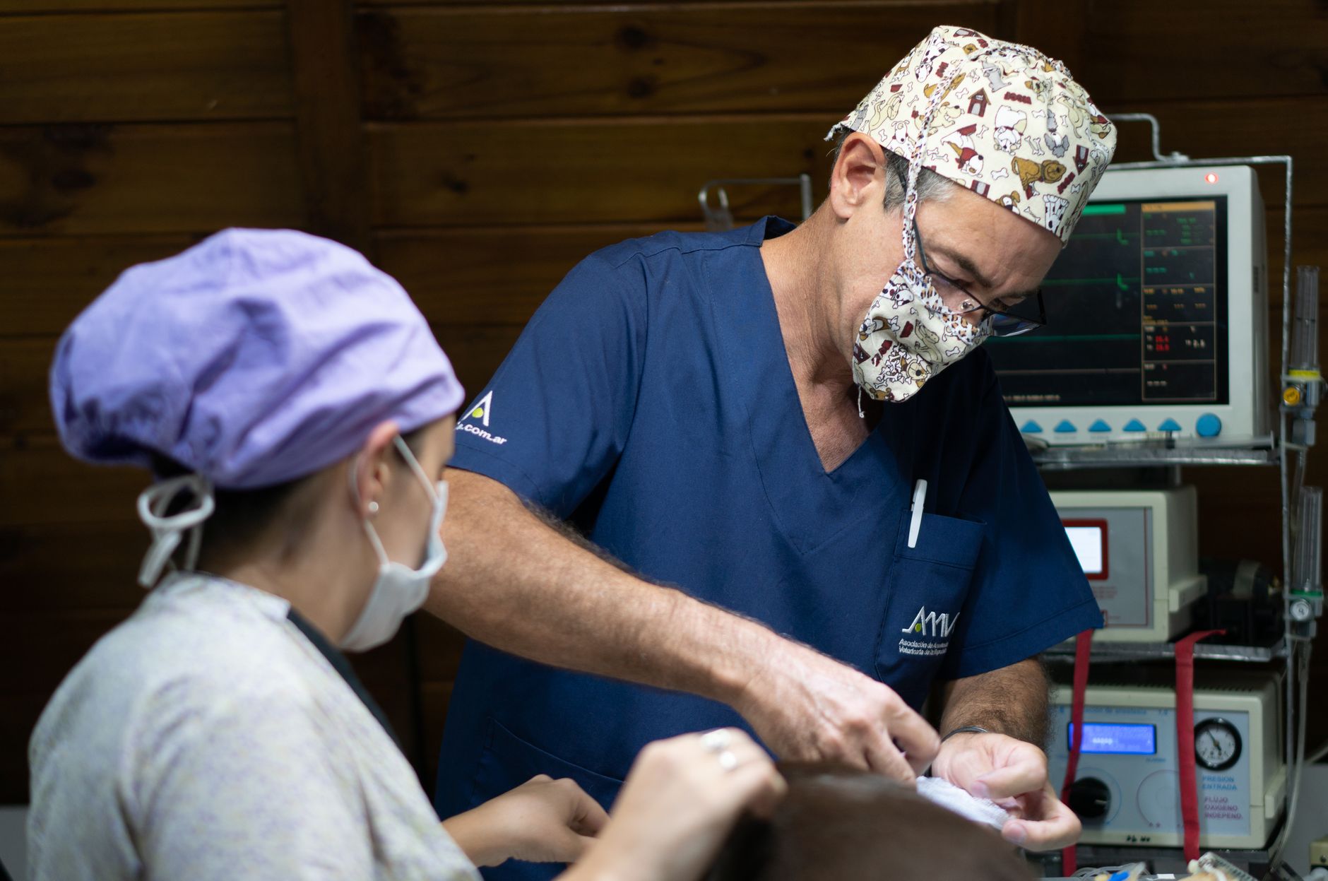 Surgery and dentistry on site