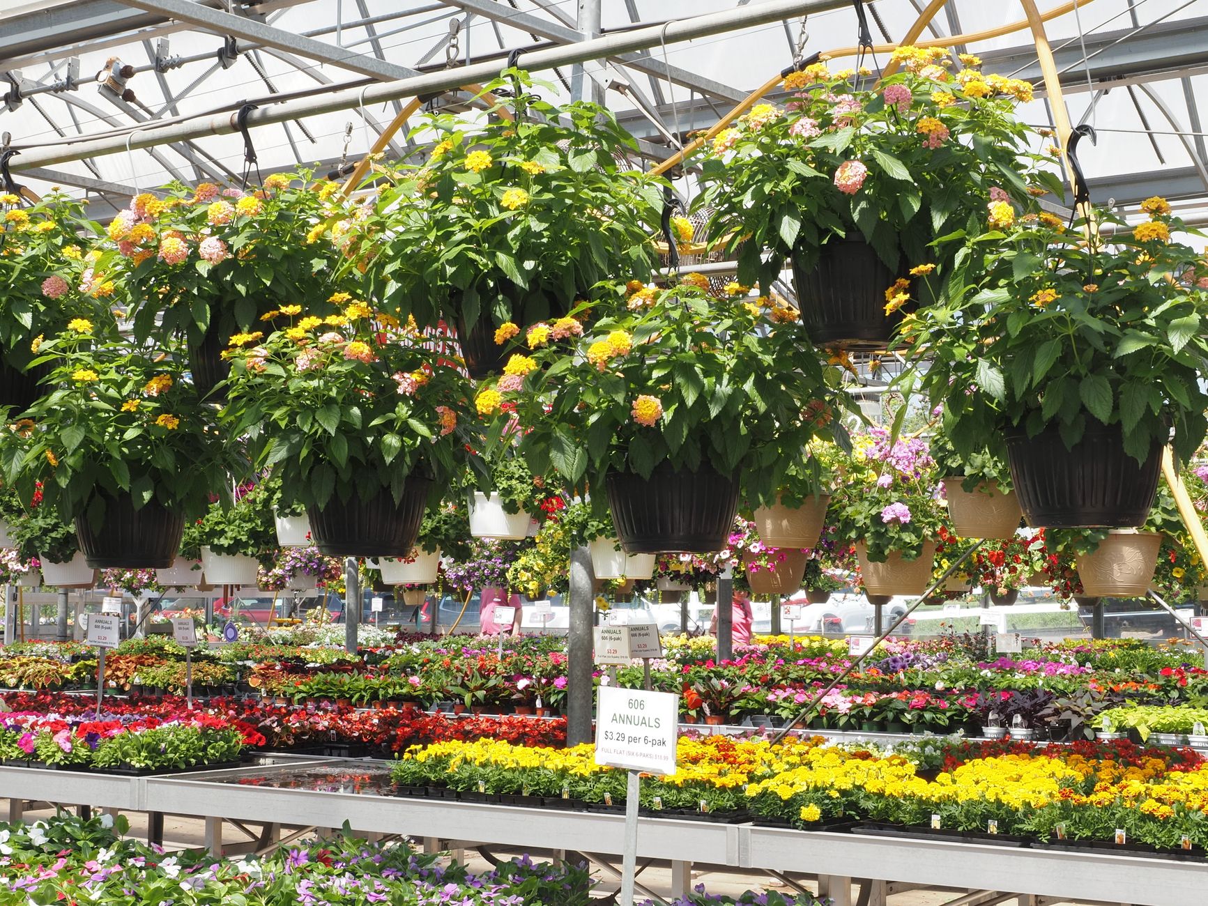 Spring starts in the greenhouse